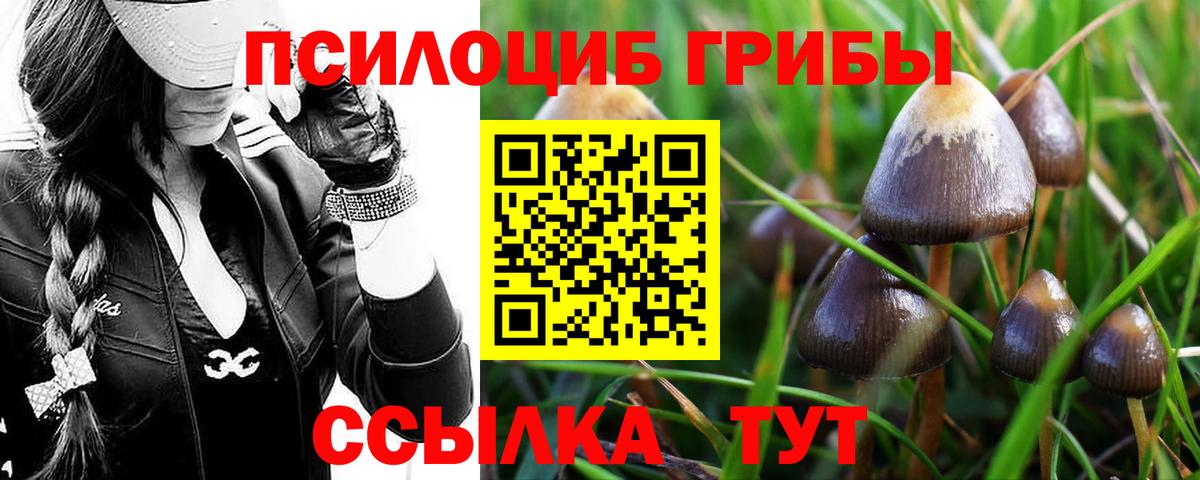 Рассказово  Галлюциногенные грибы Magic Shrooms  Вход с VPN  Галлюциногенные грибы мицелий 